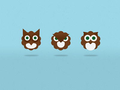 Owls owls