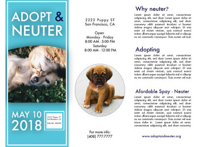 Adopt and Neuter Animal Brochure brochure color layout