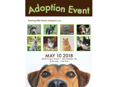 Animal Rescue Poster