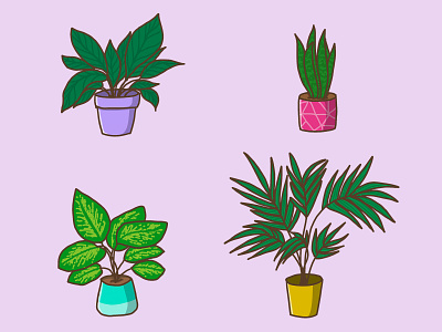 My favourite Houseplants colorful design draw drawing drawings illustration ipad pro plants procreate