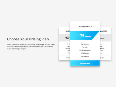 Pricing Plan