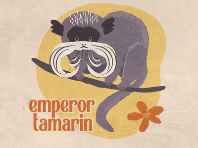Emperor Tamarin animal digital illustration retro tamarin vector vintage