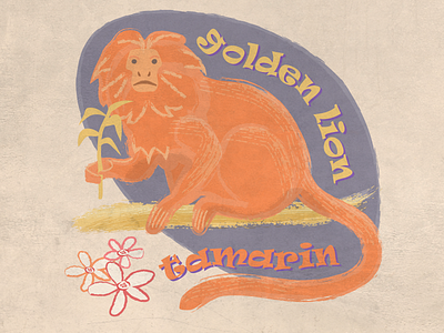 Golden Lion Tamarin animal digital illustration retro tamarin vector vintage