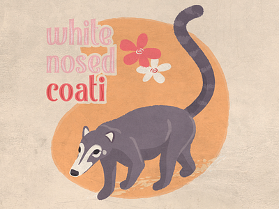 White Nosed Coati animal design digital illustration retro vector vintage