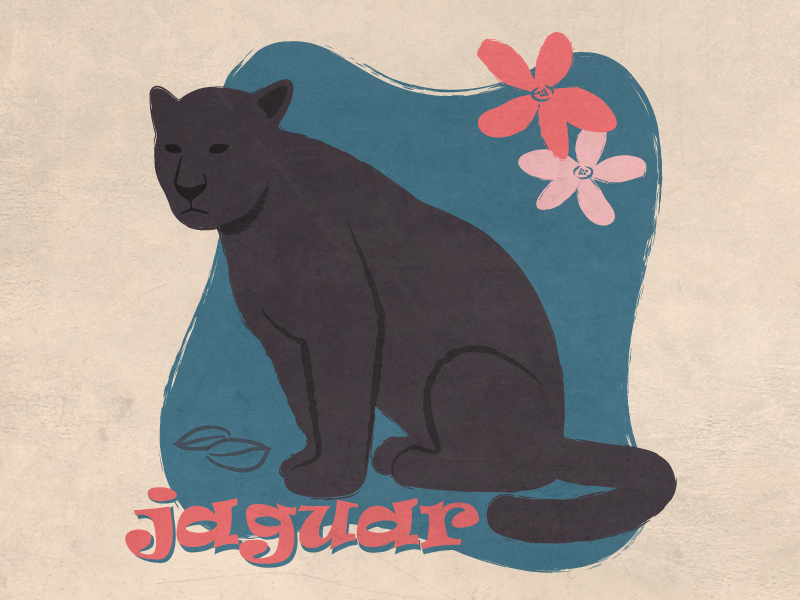 Jaguar panther vintage retro digital illustration vector cats jaguar animal