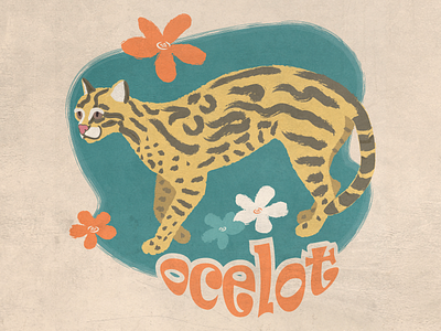 Ocelot animals cats digital illustration nature ocelot retro vector vintage wildlife