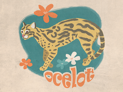 Ocelot Cat Icon by Shila Rani Das on Dribbble