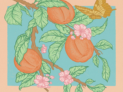 Fig Columbia — Summer 2021 Cover Illustration butterfly design fig flowers illustration magazine cover peach illustration peaches summer summer illustration