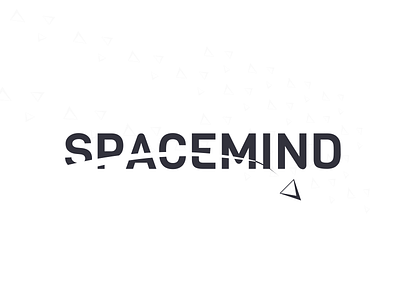 Spacemind branding design identity logo logotype