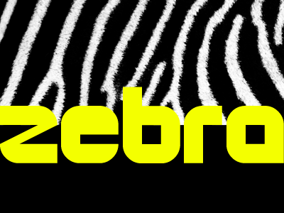 Zebra design font zebra
