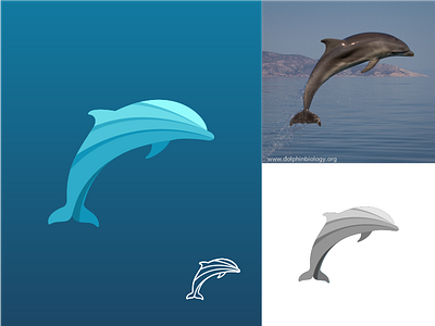 DOLPHINS