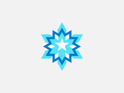 Snowflake Star exploration for sale ice kingdom logo snow snowflake star