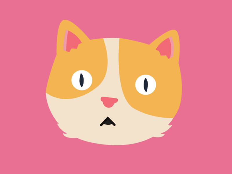 Catnip after affects animation cat catnip cats color illustration illustration art vector