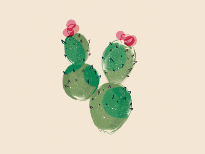 Cute lil cactus cactus illustration plants