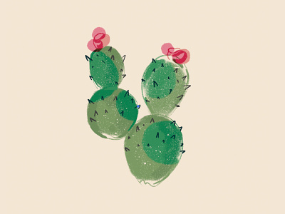 Cute lil cactus