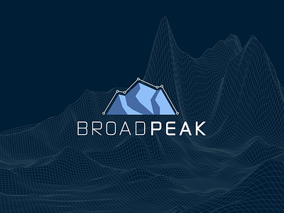 Data Company Logo branding data data company logo mark mountain peak symbol