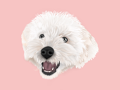 Hugo art digital dog drawing illustration portrait procreate