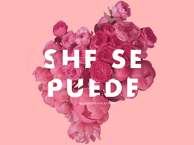 She Se Puede brand design feminist floral design graphic design typogaphy women