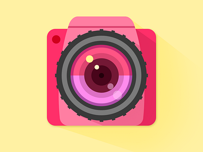 Pinkcamera camera flat lens