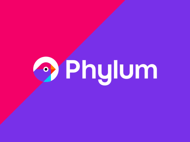 Phylum, software development security logo animation after effects animated gif animation bird branding colorful cyber security finch geometric illustration illustrator it logo logo design logomark motion motion graphics software tech vector