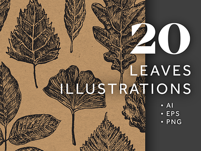 20 Leaves Illustrations Bundle