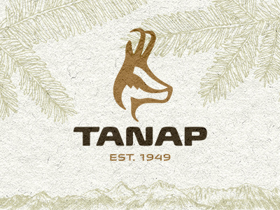 TANAP_visual identity