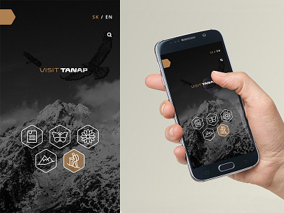 TANAP_visual identity