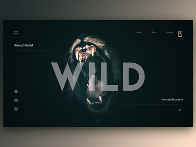 Wild Web Design