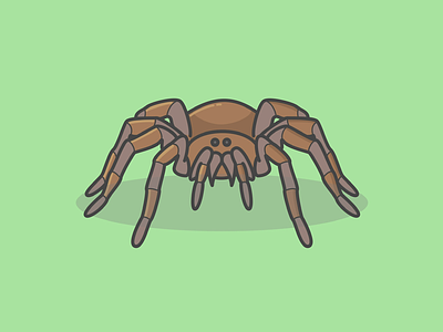 “spider” flat design illustration vector