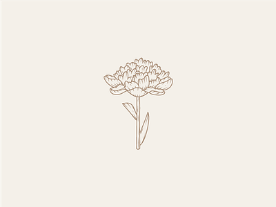Peony archives brand concept flower icon illustration logo peony plant symbol