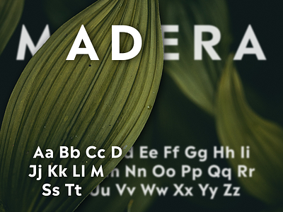 Madera Type Test geometric graphic design madera monotype organic photo type typeface typography unsplash vegitation