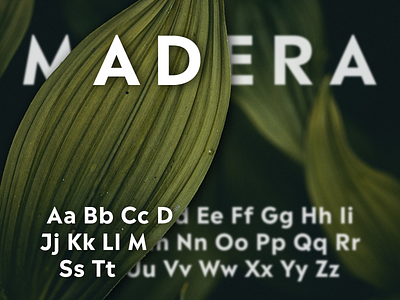 Madera Type Test