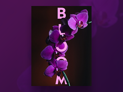 Bloom 1 bloom design floral geometic madera monotype nature orchid organic pantone type typeface typography vegitation