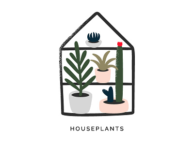 Houseplants illustration botanic cacti cactus flowers home houseplants illustration plants succulent textured