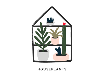 Houseplants illustration