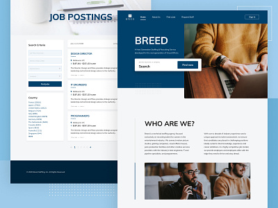 Job Searching - Web design