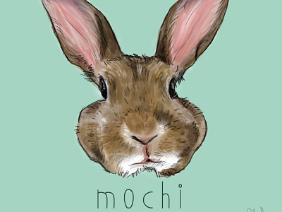 Pet Bunny Mochi animal digital dog drawing illustration pet sketch wacom