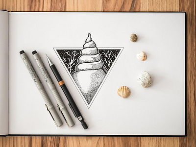 the shell blackandwhite creative drawing illustration ink inspiration pen sea shells sketchbook sketching