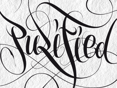 Calligraphy Purified