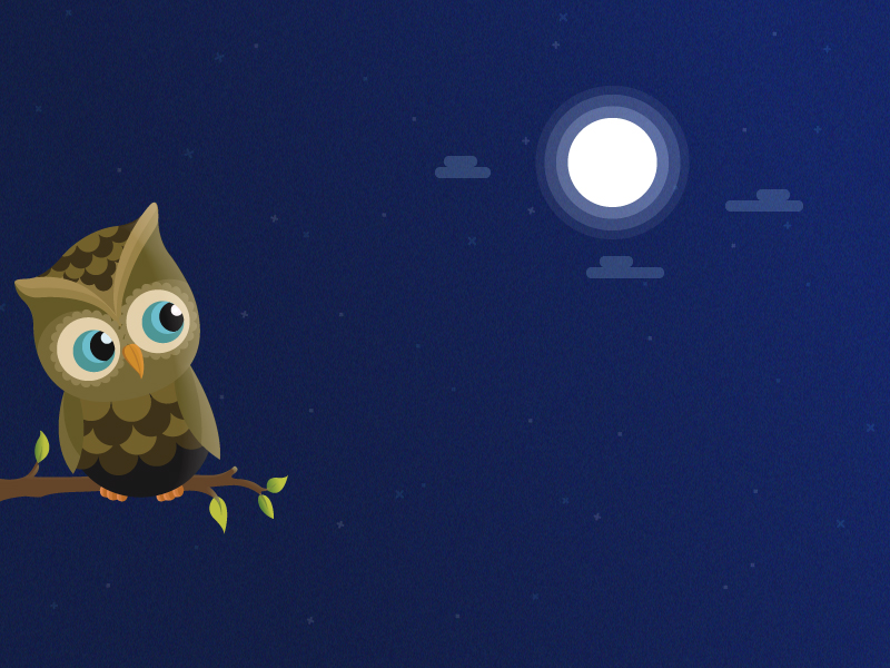 Owl Illustration by vectorbugs on Dribbble