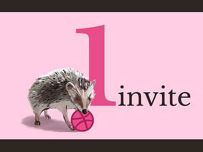 One Dribbble invite design dribbble invite dribble shot hedgehog illustration pink vector