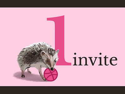 One Dribbble invite