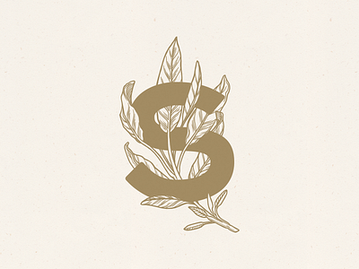 Sage illustration with type botanical gold restaurant sage