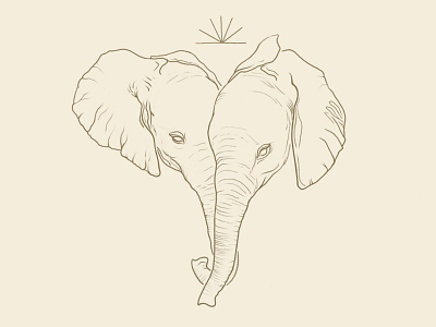Elephants elephant hand drawn illustration ipadpro minimal