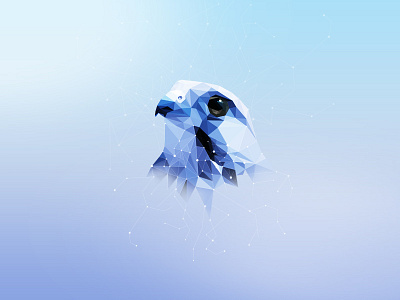 A bird and its head art bird head illustration photoshop starlight