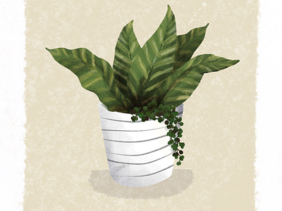 Plant Illustration drawing garden graphic design illustraion illustration leaves plant plant illustration plants pot