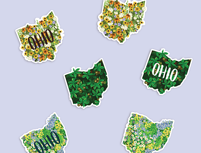 Ohio Shaped Stickers buckeye buckeyes floral flowers ohio ohio state shape of ohio state states sticker sticker design stickers wildflowers