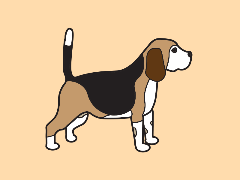 My Month In Icons: Day 6 -- Baxter 30 day challenge 30 days of animation animated gif animation beagle color design dog gif icon iconography illustration linear vector