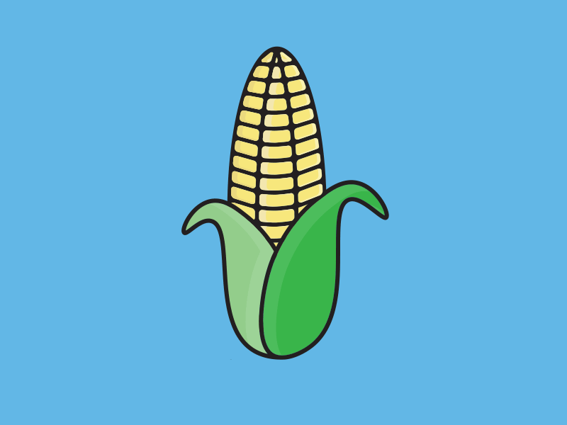 My Month In Icons: Day 11 -- Corn! 30 day challenge 30 days of animation animation farm farming food and drink gif green highlights icon iconography illustration linear organic vector yellow kid