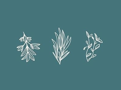 Botanical Sketches botanical freelance graphic design illustration indianapolis logo sketch